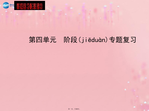 九年级政治全册 第4单元 阶段专题复习配套课件 新人教版