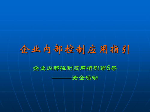 企业内部控制应用指引第6号