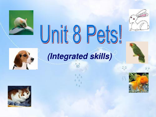 牛津译林版初中英语七下Unit 8 Pets Intergrated skills课件