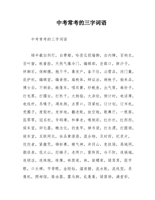 中考常考的三字词语