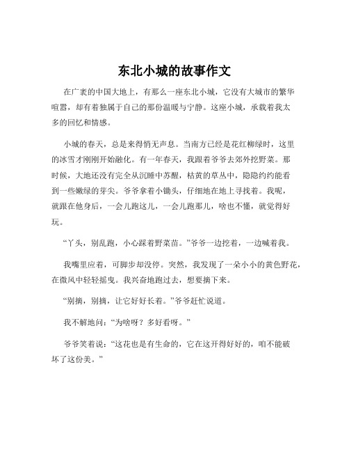 东北小城的故事作文