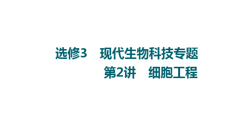 高三一轮复习生物新高考全国通用版选修3第2讲 细胞工程课件