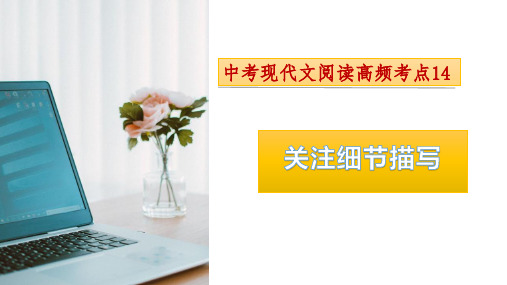 考点14关注细节描写2024年中考语文现代文阅读高频考点精讲课件