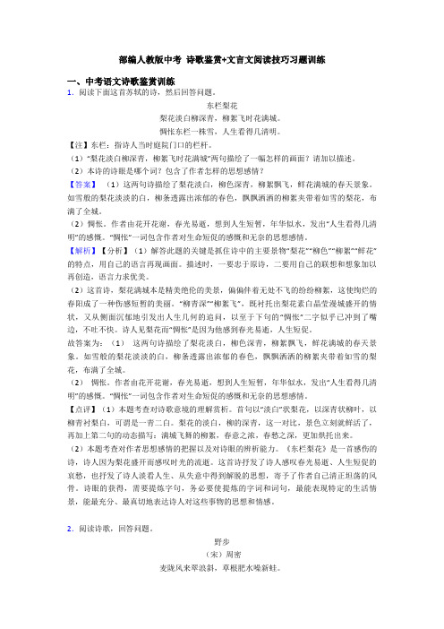 部编人教版中考 诗歌鉴赏+文言文阅读技巧习题训练 (3)