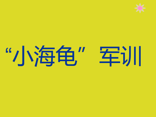 华中师大版六年级下册信息技术10.“小海龟”军训课件(1)