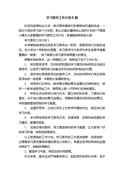 学习委员工作计划5篇