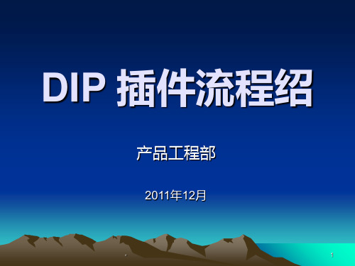 DIP插件培训资料解析PPT课件