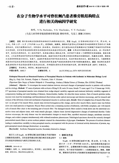 在分子生物学水平对脊柱侧凸患者椎旁肌结构特点进行相关的病因学研究