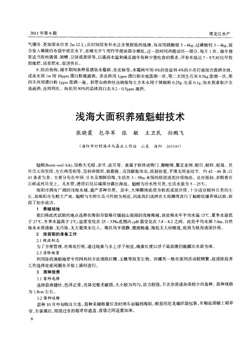 浅海大面积养殖魁蚶技术
