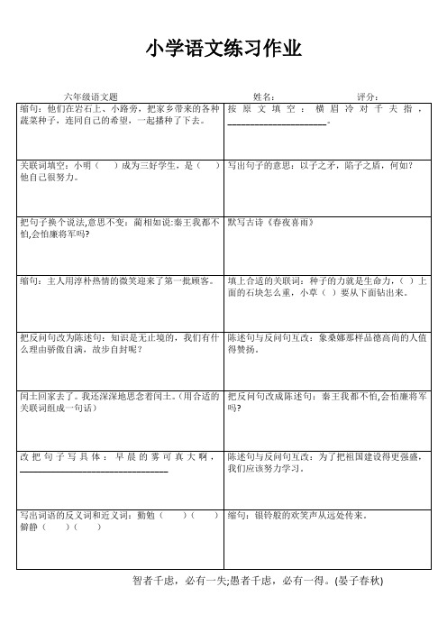 小学六年级语文课堂延伸练习III (63)