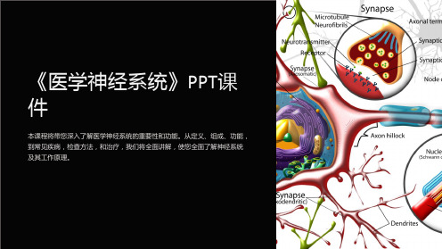 《医学神经系统》课件