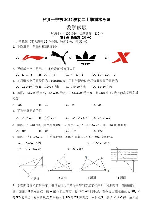 2023-2024学年四川省泸州市泸县一中八年级上学期期末数学试卷及参考答案