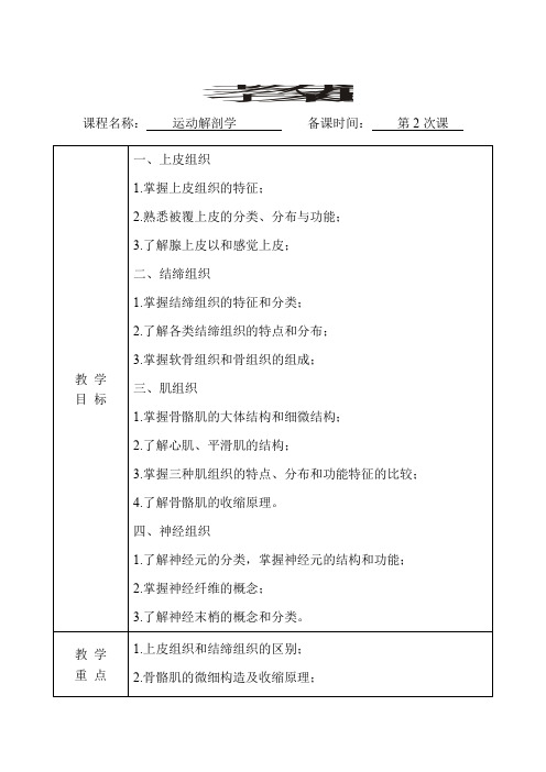 运动解剖学教案(第2次课)