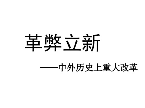 中外历史上的著名改革专题复习 课件