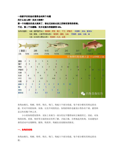 图解鱼钩的种类型号对比选择