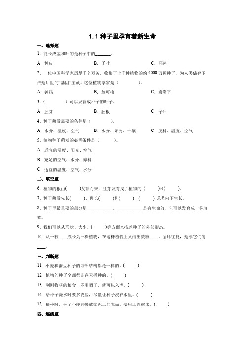 教科版(2017秋) 四年级下册1-1 种子里孕育着新生命 提升练习(含答案)