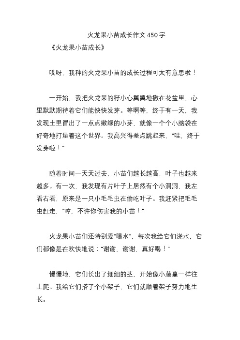 火龙果小苗成长作文450字