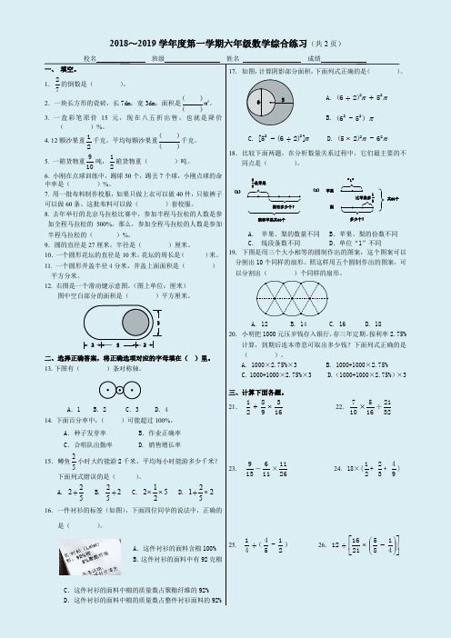 2018 ～2019  学年度第一学期六年级数学 综合练习