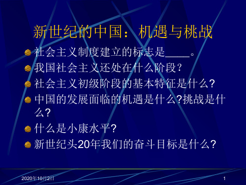 新世纪的中国：机遇与挑战PPT课件