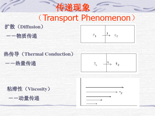 传递现象.ppt