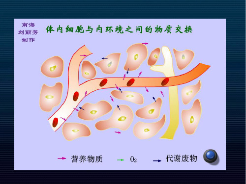 高中生物必修三学业水平考试复习课件