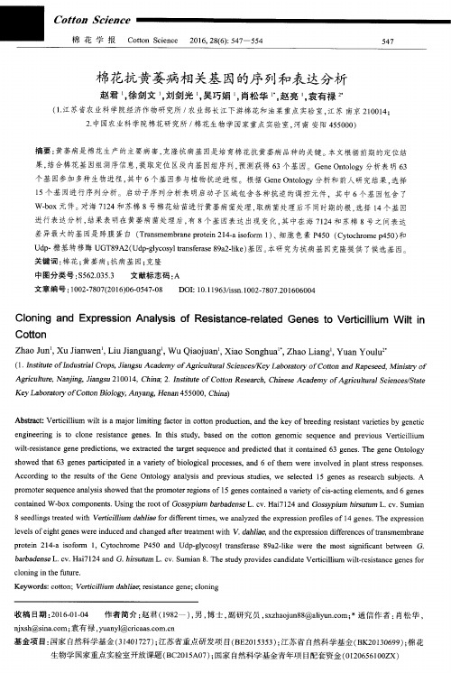 棉花抗黄萎病相关基因的序列和表达分析