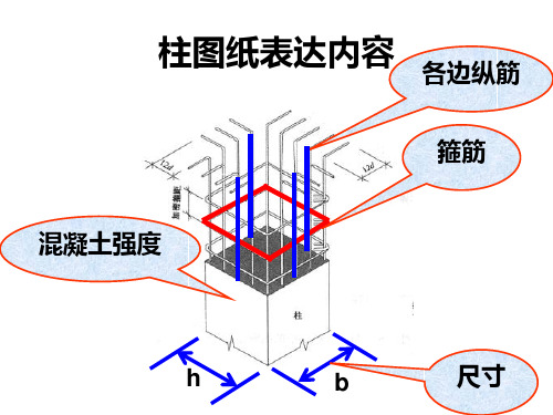 柱配筋图表示讲解