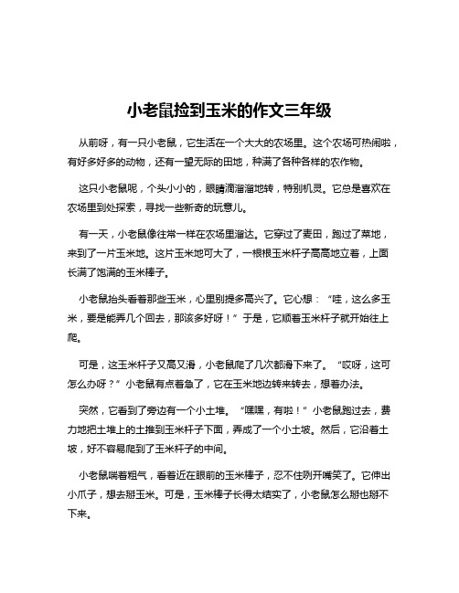 小老鼠捡到玉米的作文三年级