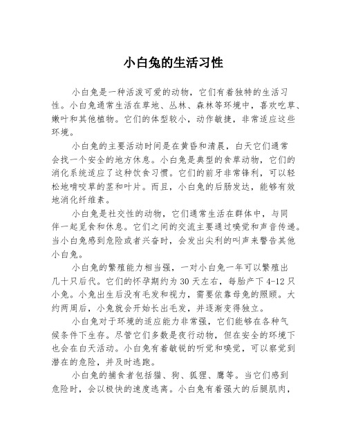 小白兔的生活习性