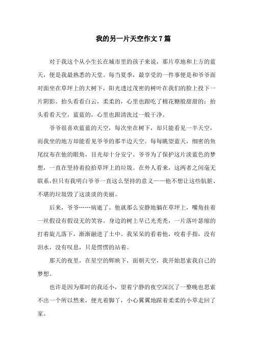 中小学我的另一片天空作文7篇