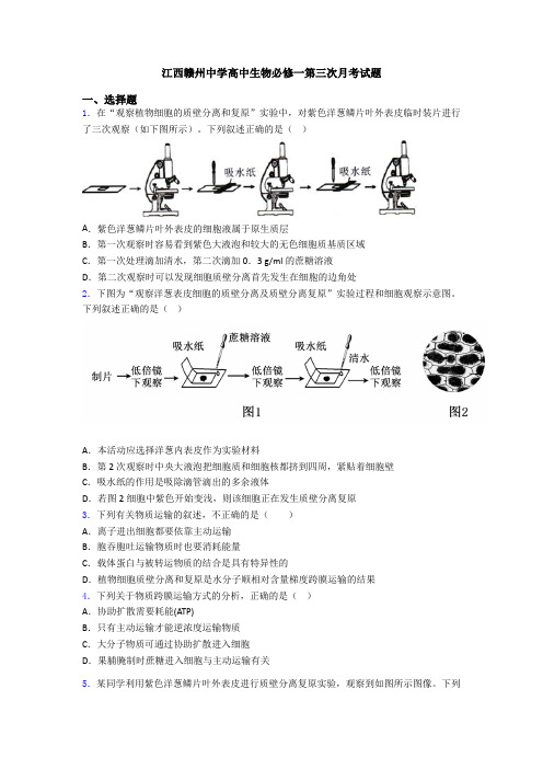 江西赣州中学高中生物必修一第三次月考试题