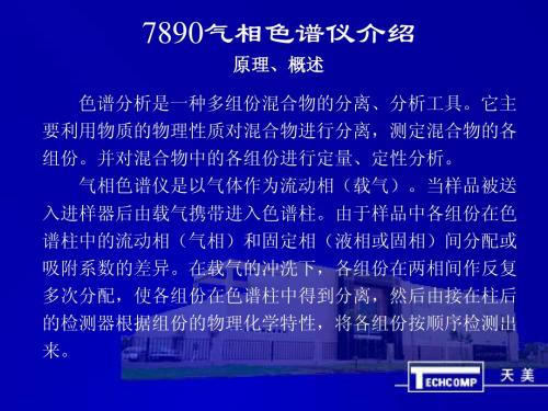 7890气相色谱仪介绍 (1)