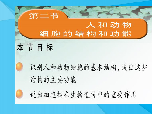 人和动物细胞的结构和功能ppt 苏教版优秀课件
