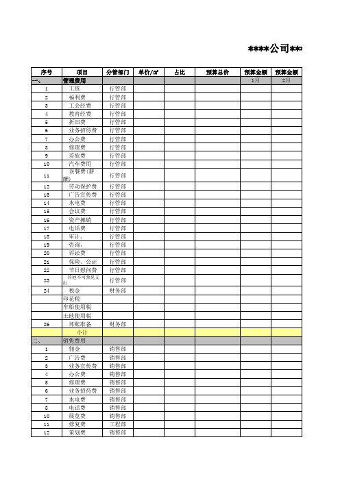 2011年预算表格