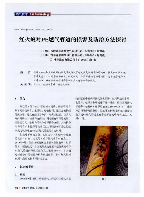 红火蚁对PE燃气管道的损害及防治方法探讨