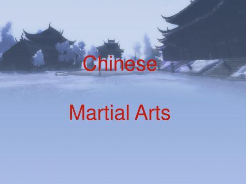 martial arts 中国功夫 武术