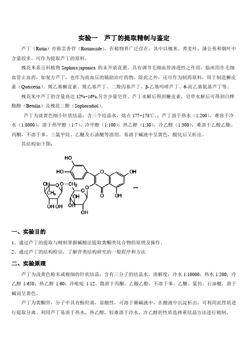 生物制药实验(1)