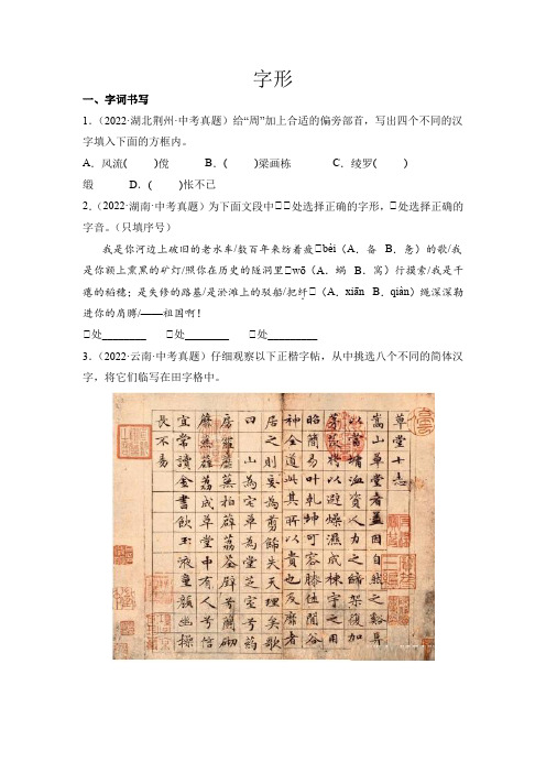 中考语文专题2字形(考点训练原卷版)