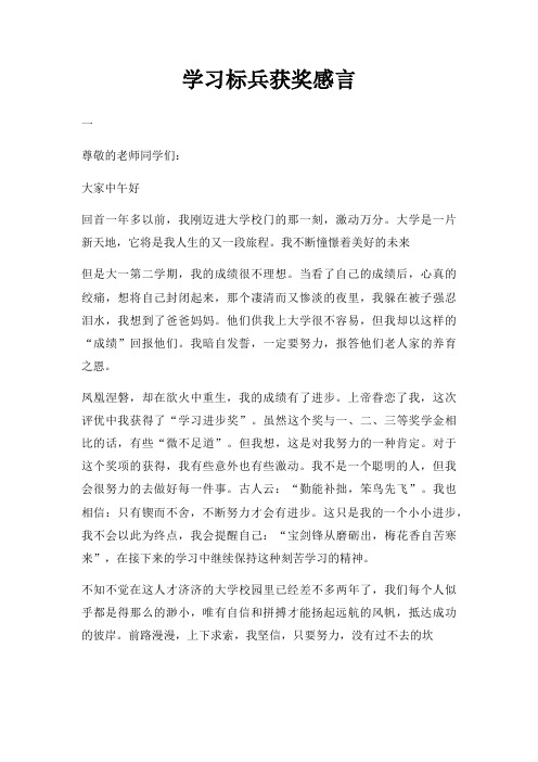 学习标兵获奖感言