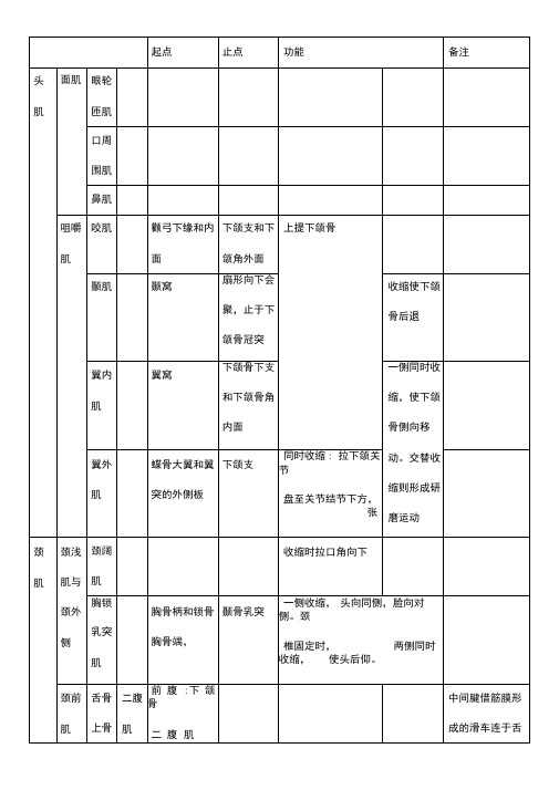 人体肌肉重点总结