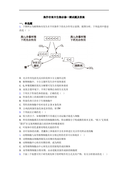 焦作市高中生物必修一测试题及答案