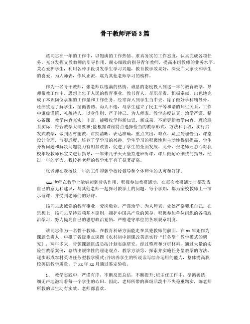 骨干教师评语3篇