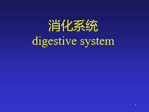 医学影像学PPT：消化系统(一)