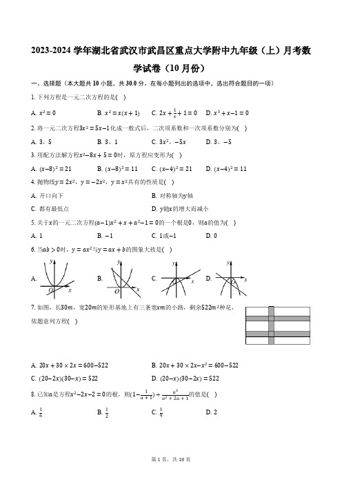 2023-2024学年湖北省武汉市武昌区重点大学附中九年级(上)月考数学试卷(10月份)(含解析)