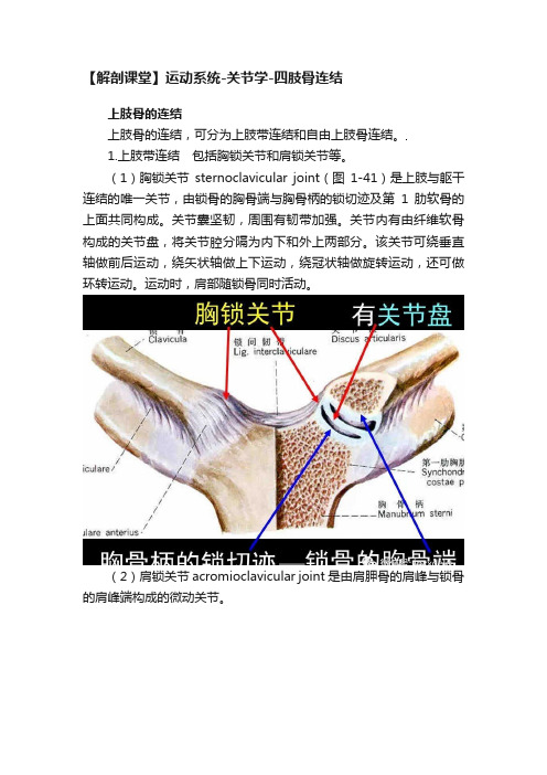 【解剖课堂】运动系统-关节学-四肢骨连结