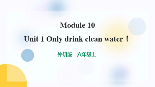 外研版六年级英语上册 (Only drink clean water)课件