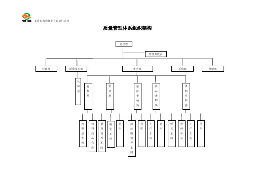 质量管理体系组织架构(2)