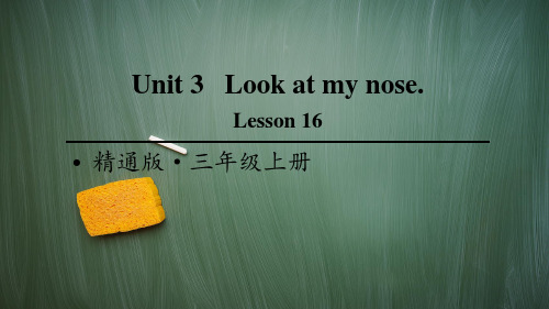 精通版三年级英语上册Lesson 16 PPT课件
