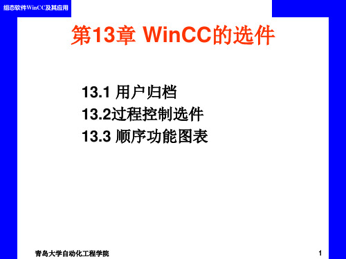 第13章 WinCC的选件