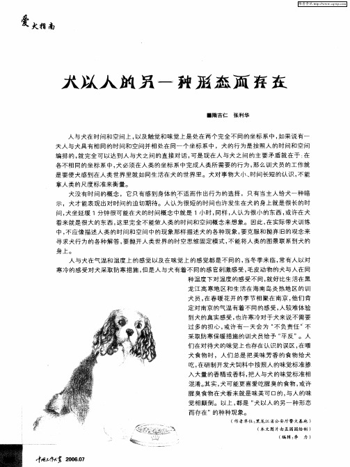 犬以人的另一种形态而存在